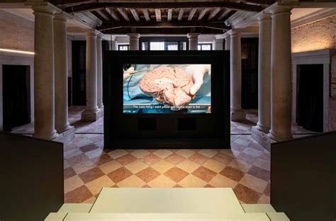 mostra sui filosofi a fondazione prada venezia|Human Brains.